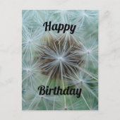 Carte postale de pissenlit blanc (Devant)