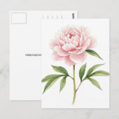 Carte postale de pivoine rose (Devant / Derrière)