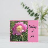 Carte postale de pivoine rose (Debout devant)