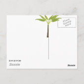 Carte postale de plage (Dos)