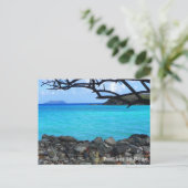 Carte postale de plage (Debout devant)