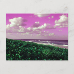 carte postale de plage