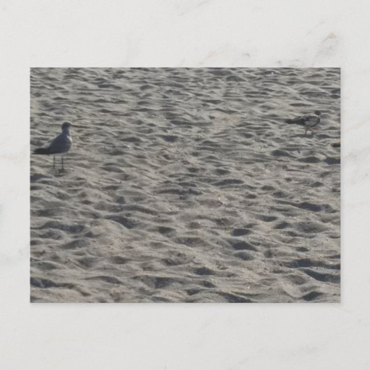 Carte postale de plage (Devant)