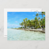 Carte postale de plage de coco (Devant / Derrière)