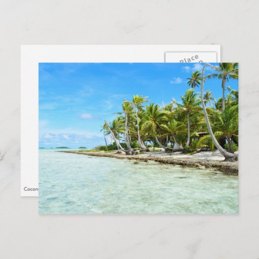 Carte postale de plage de coco (Devant / Derrière)