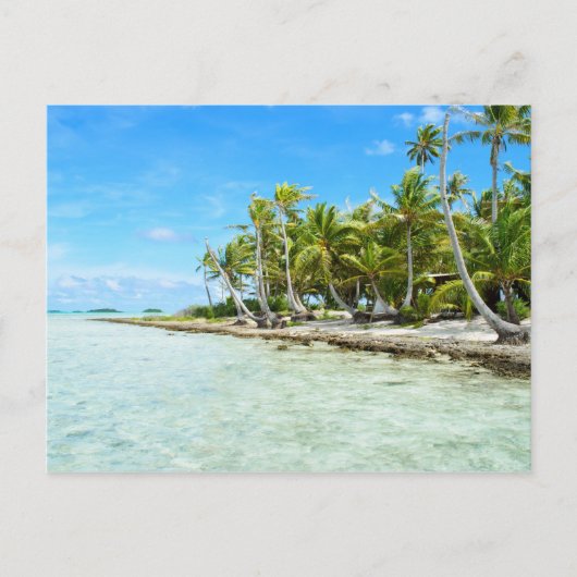 Carte postale de plage de coco (Devant)