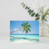 carte postale de plage des Caraïbes (Debout devant)