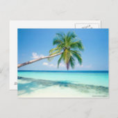 carte postale de plage des Caraïbes (Devant / Derrière)