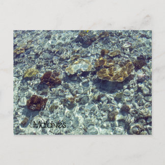 Carte postale de plage des Maldives