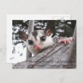 carte postale de planeur à sucre (Devant / Derrière)