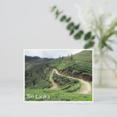 Carte Postale de plantation (Debout devant)