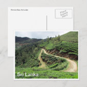 Carte Postale de plantation (Devant / Derrière)