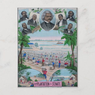 Carte Postale De Plantation Au Sénat