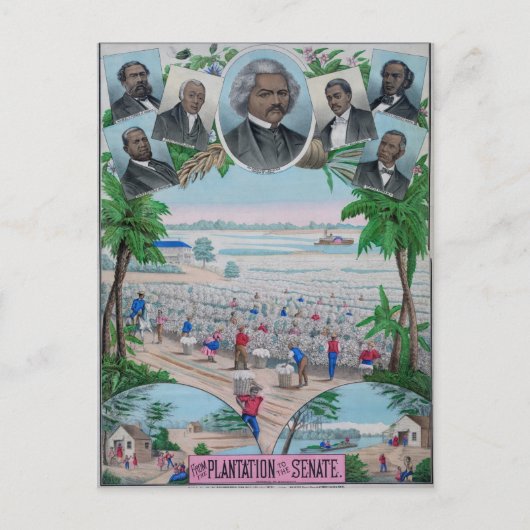 Carte Postale De Plantation Au Sénat (Devant)