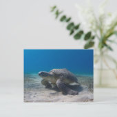 Carte postale de plongée sous-marine tortue (Debout devant)