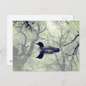 Carte postale de plongeon en noir et blanc sur un  (Devant / Derrière)