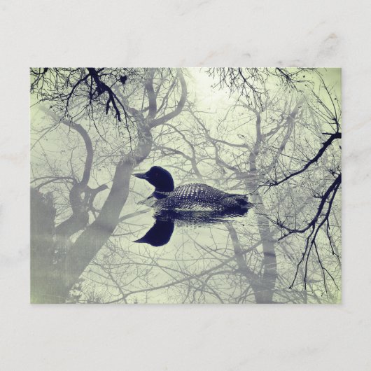 Carte postale de plongeon en noir et blanc sur un  (Devant)