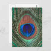 Carte postale de plume de paon vert (Devant / Derrière)