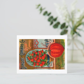 Carte postale de pochette de graines vintage. 