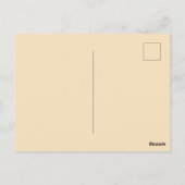 Carte postale de Point Pleasant Beach NJ (Dos)