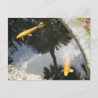 Carte postale de poisson