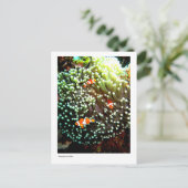 Carte postale de poisson (Debout devant)