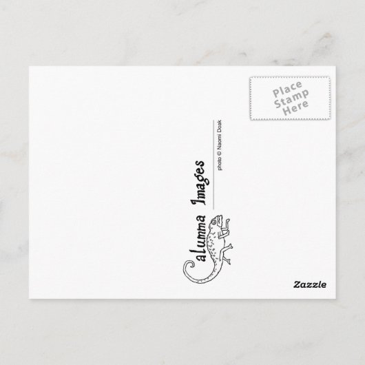 Carte postale de poisson (Dos)