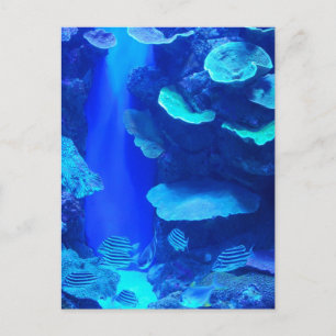 Carte postale de poisson bleu électrique