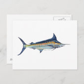 Carte postale de poisson Blue Marlin (Devant / Derrière)