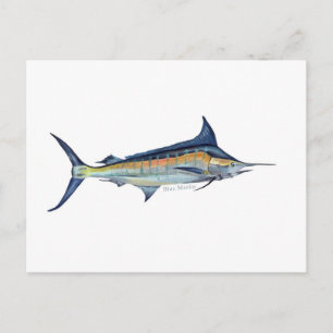 Carte postale de poisson Blue Marlin