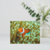 Carte postale de poisson clown (Debout devant)
