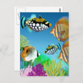 Carte postale de poisson de récif indo Pacific (Devant / Derrière)