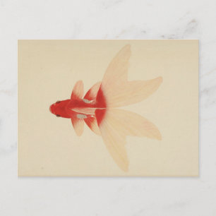 Carte postale de poisson doré vintage