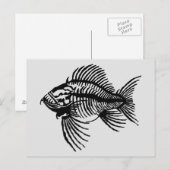 Carte postale de poisson fossile (Devant / Derrière)