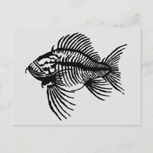 Carte postale de poisson fossile