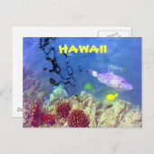 Carte postale de poisson hawaïen (Devant / Derrière)