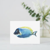 Carte postale de Poisson Tang Bleu Poudre (Debout devant)