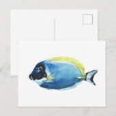 Carte postale de Poisson Tang Bleu Poudre (Devant / Derrière)
