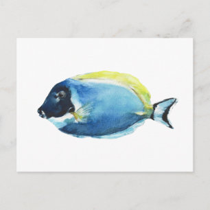 Carte postale de Poisson Tang Bleu Poudre