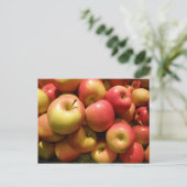 Carte postale de pommes de la Pennsylvanie (Debout devant)