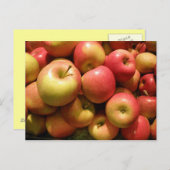 Carte postale de pommes de la Pennsylvanie (Devant / Derrière)