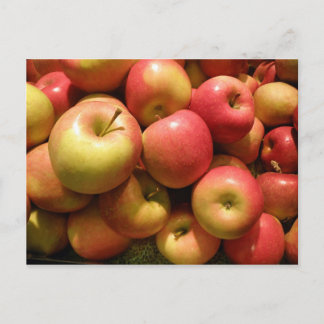 Carte postale de pommes de la Pennsylvanie