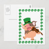 Carte postale de porc violoniste de la Saint Patri (Devant / Derrière)