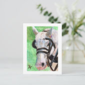 Carte postale de portrait de cheval (Debout devant)