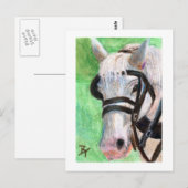 Carte postale de portrait de cheval (Devant / Derrière)