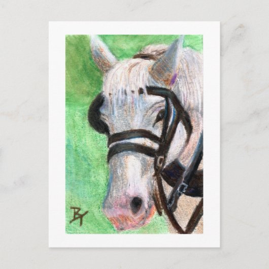 Carte postale de portrait de cheval (Devant)