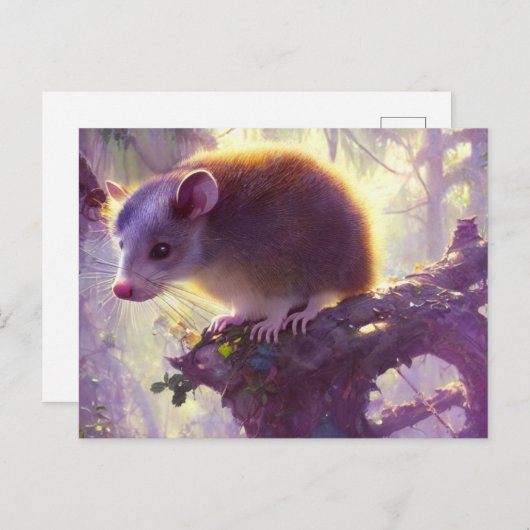 Carte postale de Possum Mignon (Devant / Derrière)