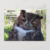 Carte postale de Postcrossing pour un anniversaire (Devant)