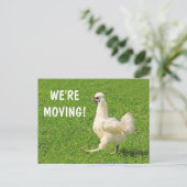 Carte postale de poulet de déménagement (Debout devant)
