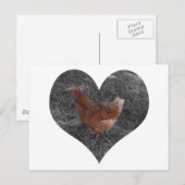 Carte postale de poulet en forme de coeur (Devant / Derrière)